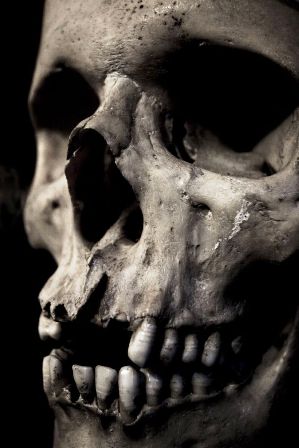 The human skull has long been a symbol of death